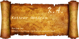 Kettner Antónia névjegykártya